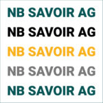 NB Savoir Logo