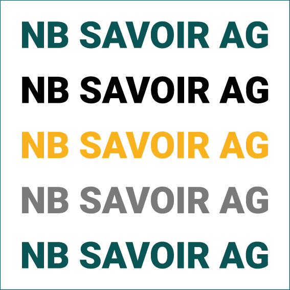 NB Savoir Logo